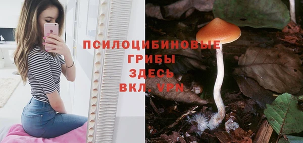 ПСИЛОЦИБИНОВЫЕ ГРИБЫ Киреевск